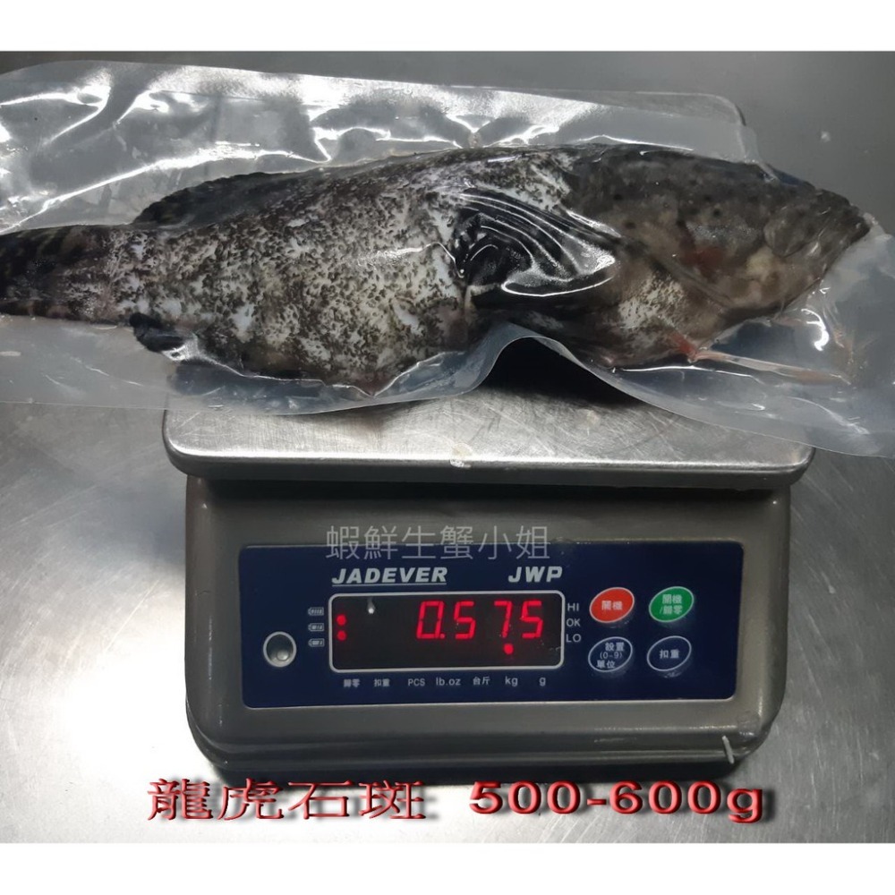 【蝦鮮生蟹小姐】龍虎石斑 三去 500-600g /▶肉質鮮嫩又不失彈性**每包290元**-細節圖3