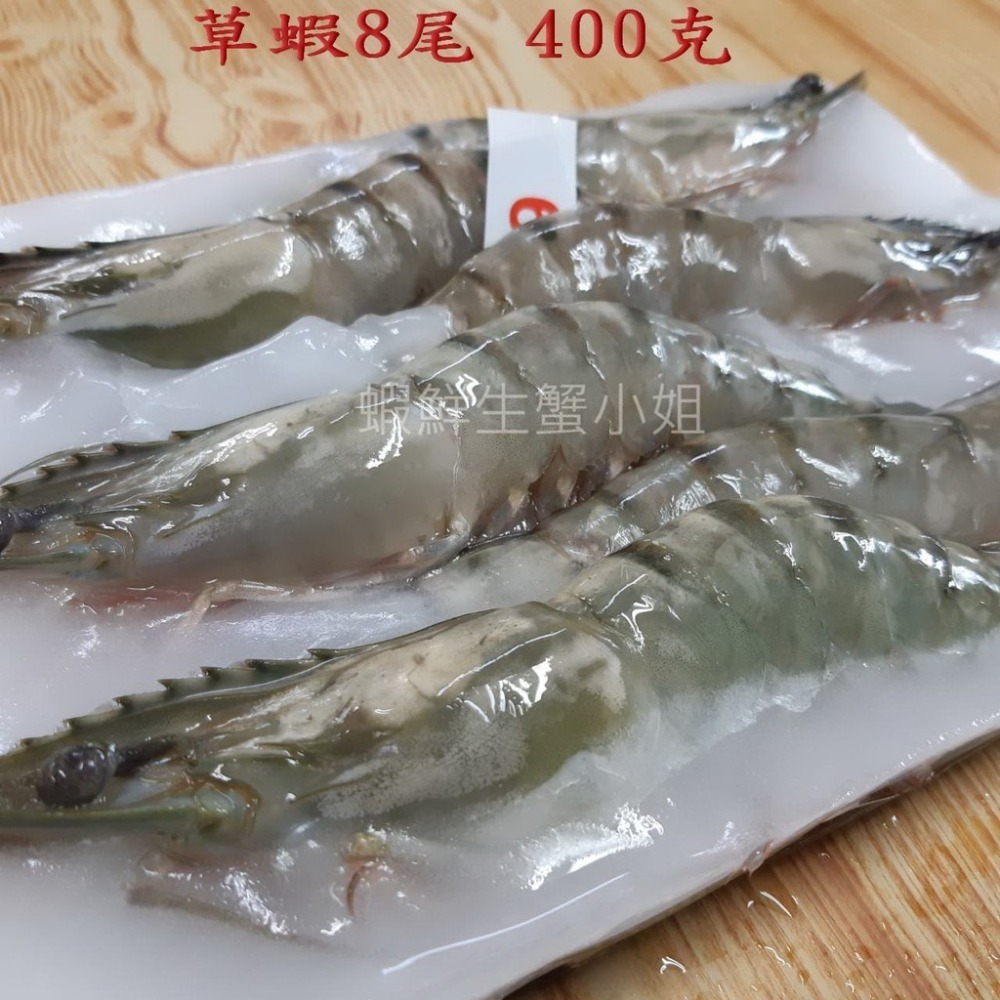 【蝦鮮生蟹小姐】草蝦 8尾入   400克/盒 * 蝦體緊實飽滿、肉質鮮嫩..媲美明蝦喔。**每盒280元**-細節圖2