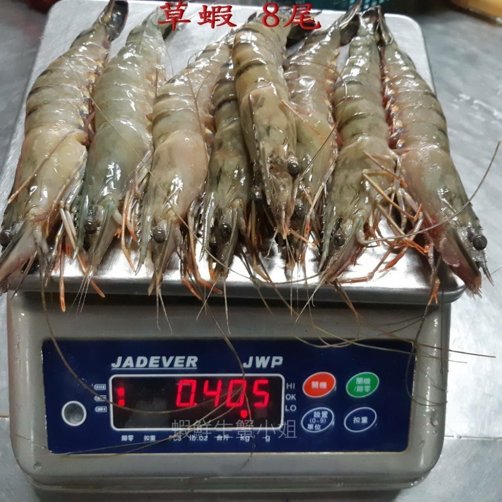 【蝦鮮生蟹小姐】草蝦 8尾入   400克/盒 * 蝦體緊實飽滿、肉質鮮嫩..媲美明蝦喔。**每盒280元**-細節圖3