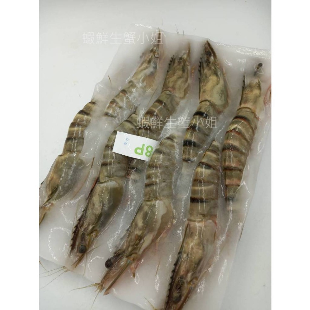 【蝦鮮生蟹小姐】草蝦 8尾入   400克/盒 * 蝦體緊實飽滿、肉質鮮嫩..媲美明蝦喔。**每盒280元**-細節圖8