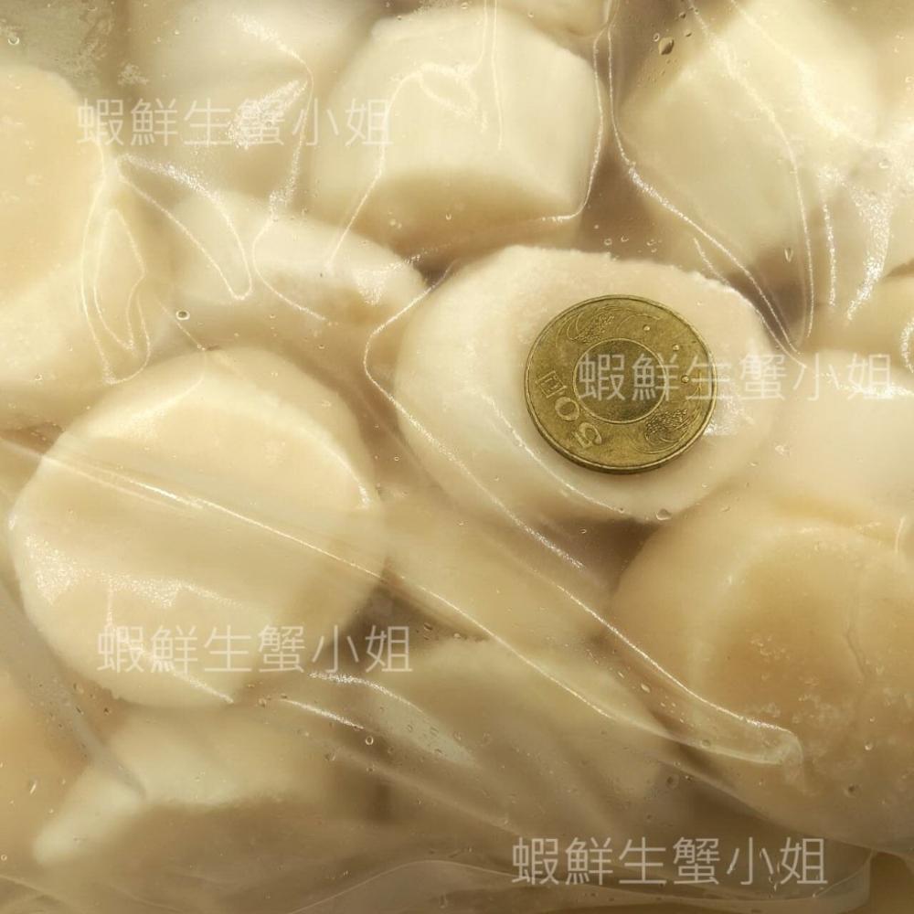 【蝦鮮生蟹小姐】日本帶子(生食級干貝) M   1盒26-30粒 * 海洋的魅力～鮮甜美味 **每盒2450元**-細節圖2
