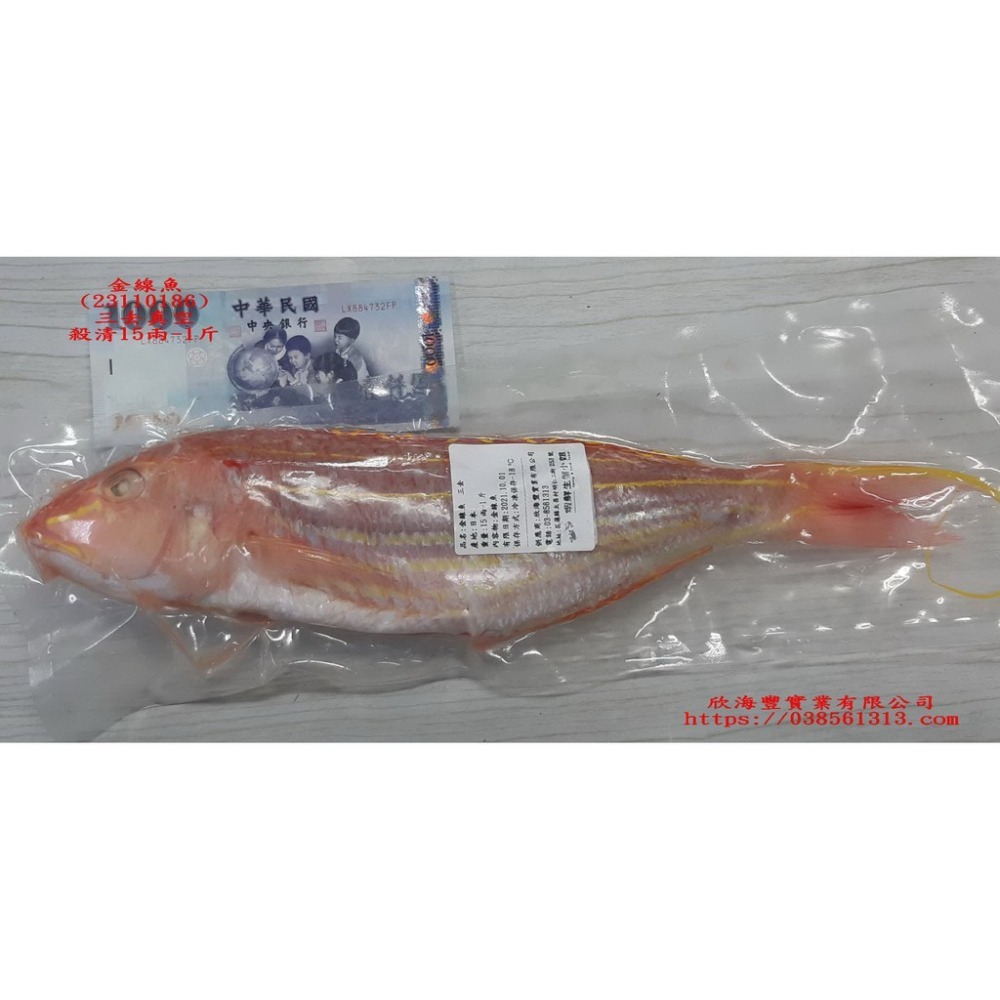 【蝦鮮生蟹小姐】金線魚 手釣魚  殺清15兩-1斤  肉質細緻、鮮嫩   尾牙聚餐推薦  **每隻370元**-細節圖2