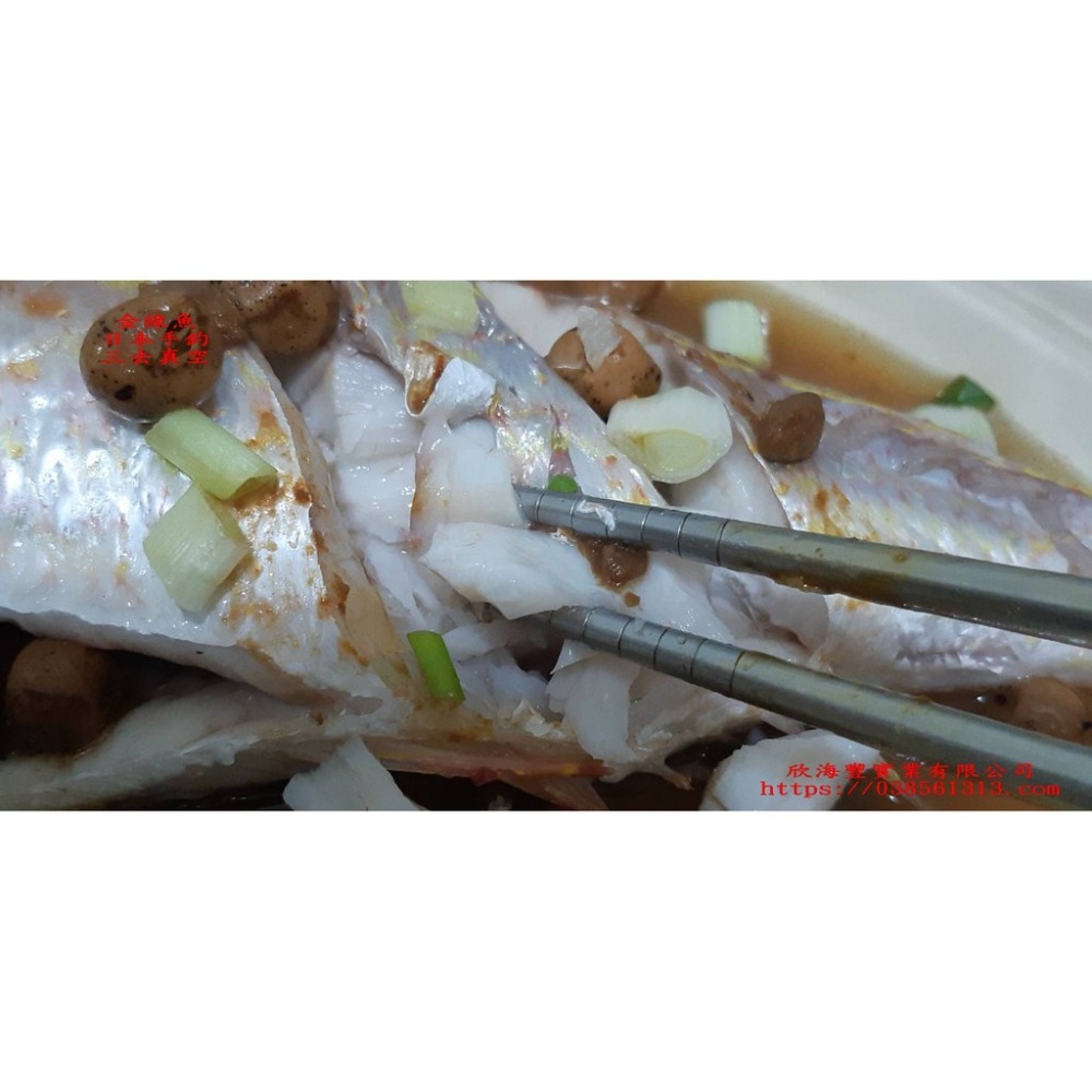 【蝦鮮生蟹小姐】金線魚 手釣魚  殺清15兩-1斤  肉質細緻、鮮嫩   尾牙聚餐推薦  **每隻370元**-細節圖6