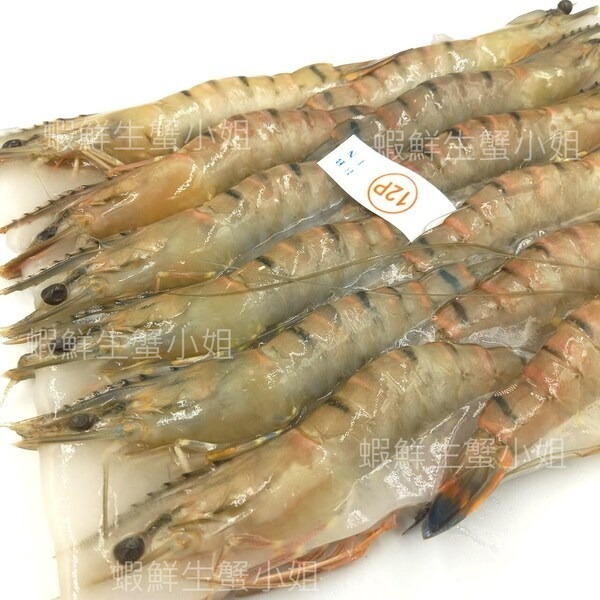 【蝦鮮生蟹小姐】活凍草蝦  12隻裝  400克/盒  * 肉質鮮甜彈牙 ** 每盒220元**-細節圖3