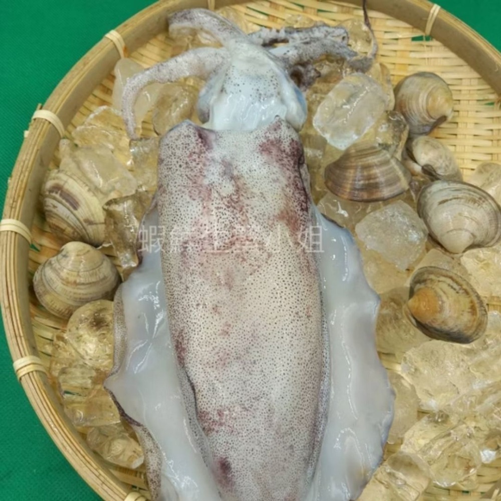 【蝦鮮生蟹小姐】巨無霸 整尾軟絲  1000-1500克/隻    *肉質豐厚，Q彈鮮甜 **每隻620元**-細節圖2