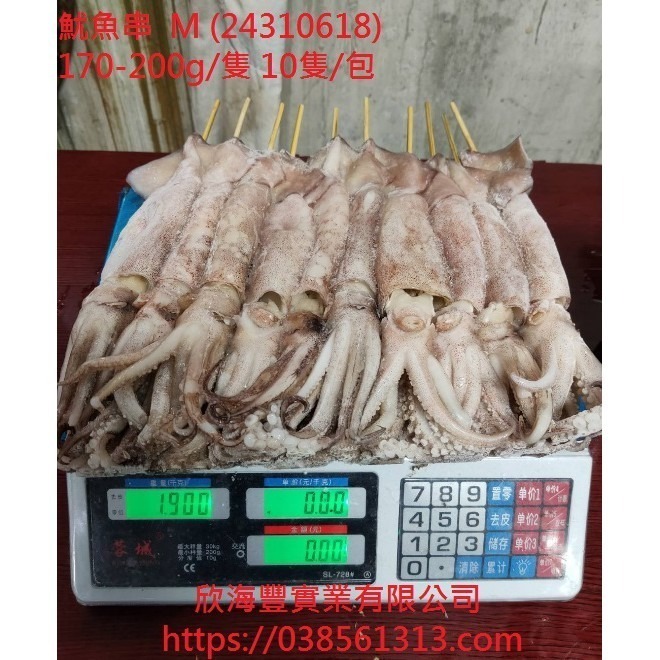 【蝦鮮生蟹小姐】魷魚串 M 160-200克/隻   已殺清 一包10隻裝 * 肉質Q彈鮮美  **每包800元**-細節圖4