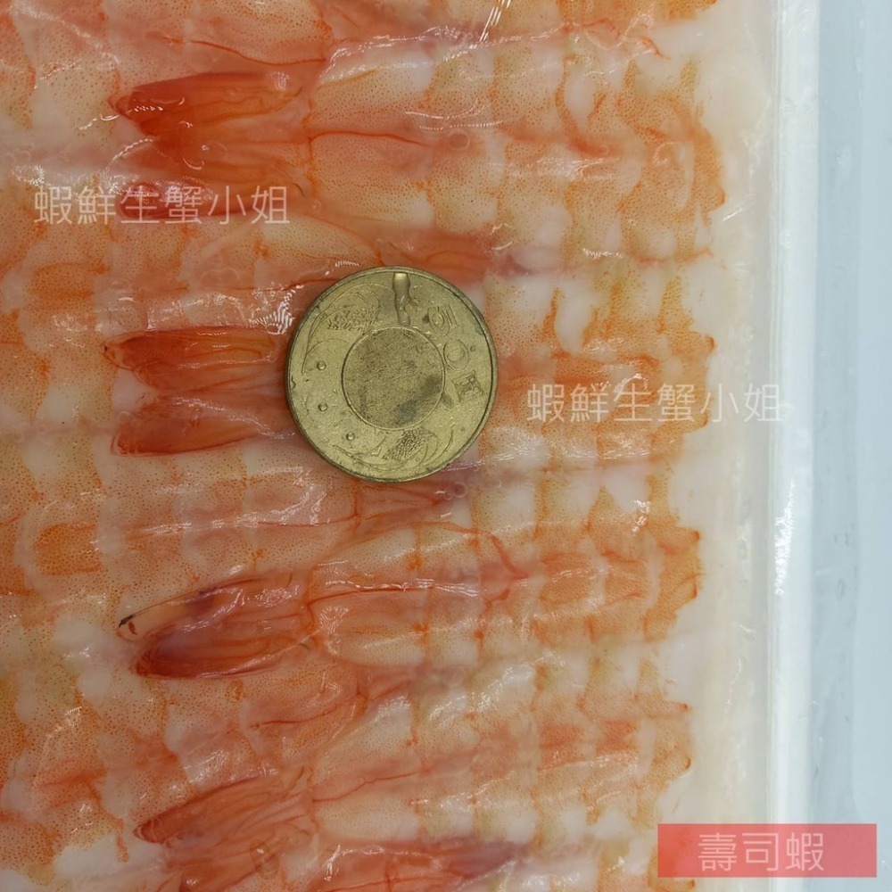 【蝦鮮生蟹小姐】壽司蝦  3L  30尾/包  *蝴蝶切處理，可以直接用於壽司上~**每盤200元**-細節圖2