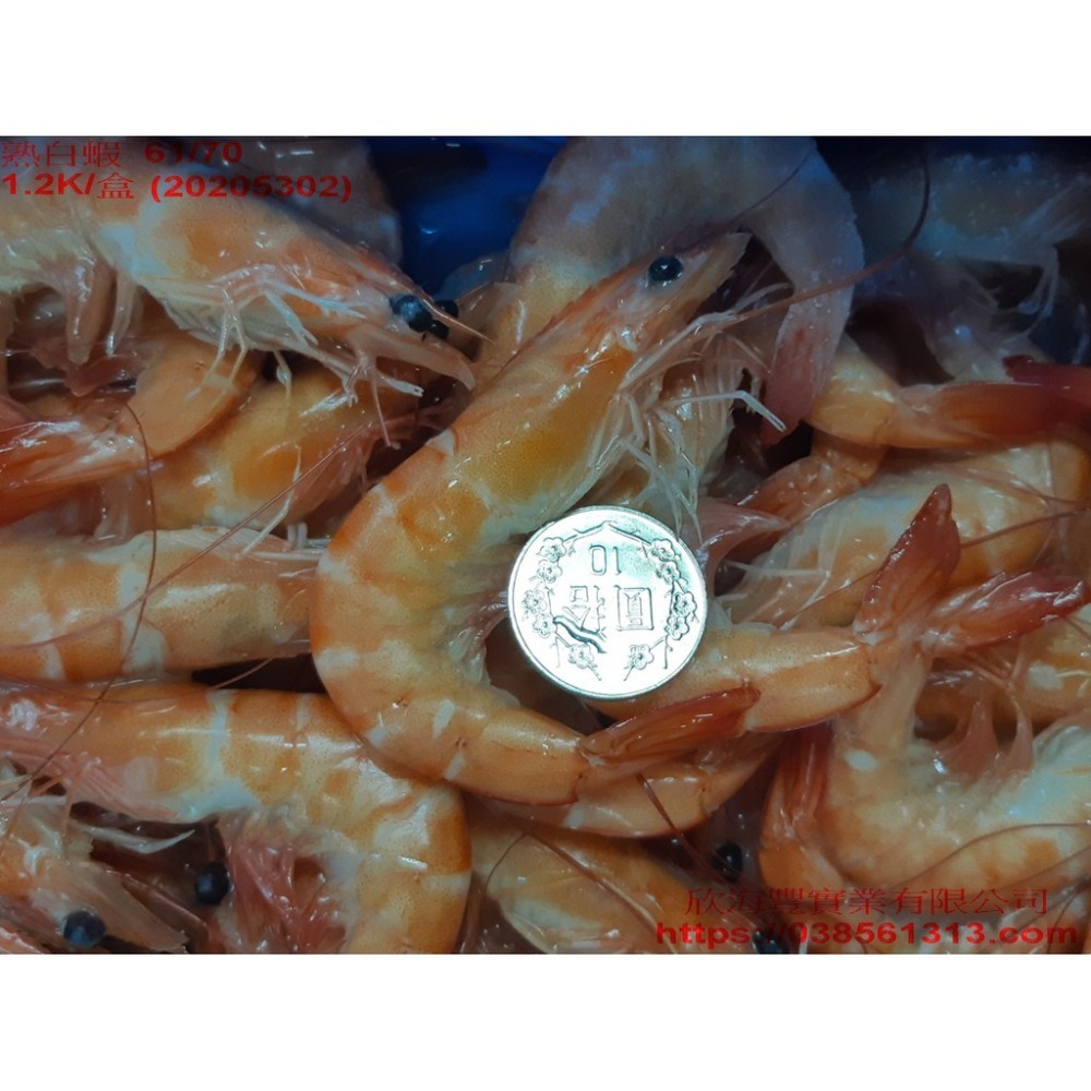【蝦鮮生蟹小姐】熟白蝦  60/70 一盒1200克 *肉質細膩鮮甜，口感Q彈美味!   **每盒470元**-細節圖4
