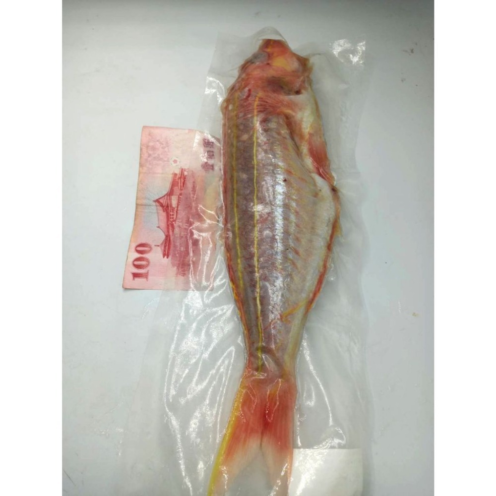 【蝦鮮生蟹小姐】金線魚   手釣魚   殺清12-14兩   肉質細緻、鮮嫩   尾牙聚餐推薦**每隻330元**-細節圖2