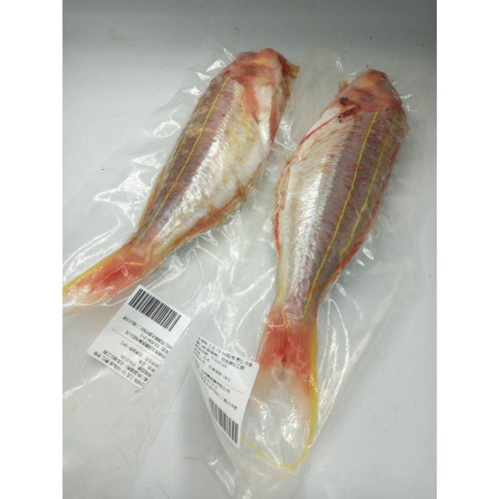 【蝦鮮生蟹小姐】金線魚   手釣魚   殺清12-14兩   肉質細緻、鮮嫩   尾牙聚餐推薦**每隻330元**-細節圖3