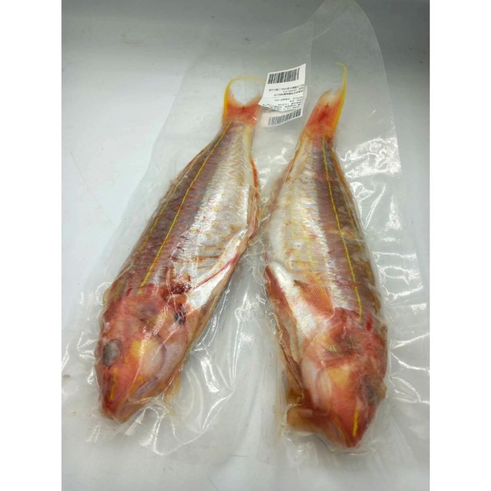 【蝦鮮生蟹小姐】金線魚   手釣魚   殺清12-14兩   肉質細緻、鮮嫩   尾牙聚餐推薦**每隻330元**-細節圖4