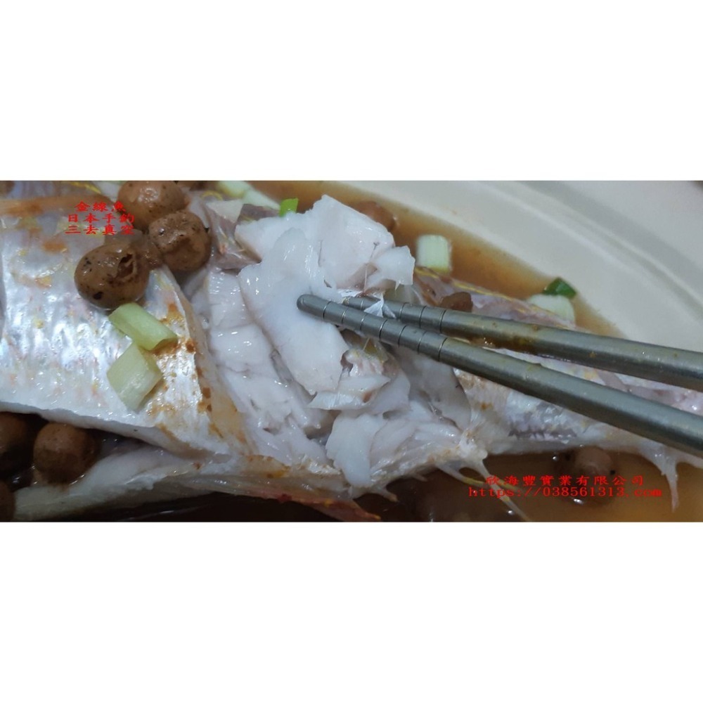 【蝦鮮生蟹小姐】金線魚   手釣魚  殺清1斤1-1斤3兩  尾牙推薦-肉質細緻、鮮嫩  **每隻430元**-細節圖6