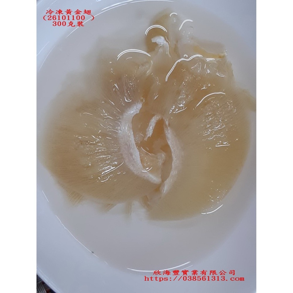 【蝦鮮生蟹小姐】黃金魚翅   300克裝   * 個人份排翅的菜色    **每包900元**-細節圖5