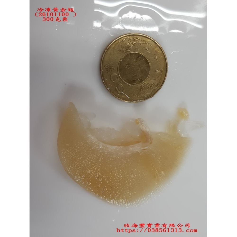 【蝦鮮生蟹小姐】黃金魚翅   300克裝   * 個人份排翅的菜色    **每包900元**-細節圖6