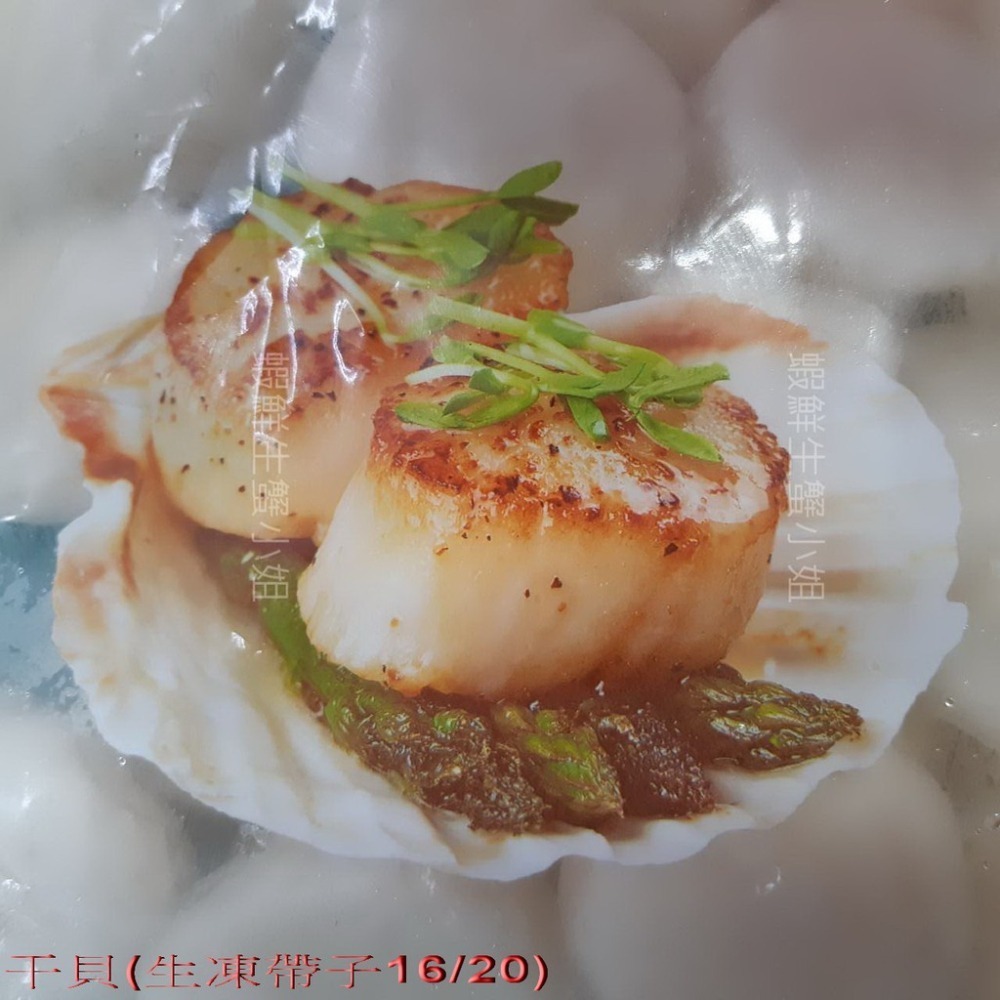 【蝦鮮生蟹小姐】生凍帶子(干貝)   10/20  2.27k/包 * 口感鮮嫩、味道鮮甜。 **每包1590元**-細節圖3