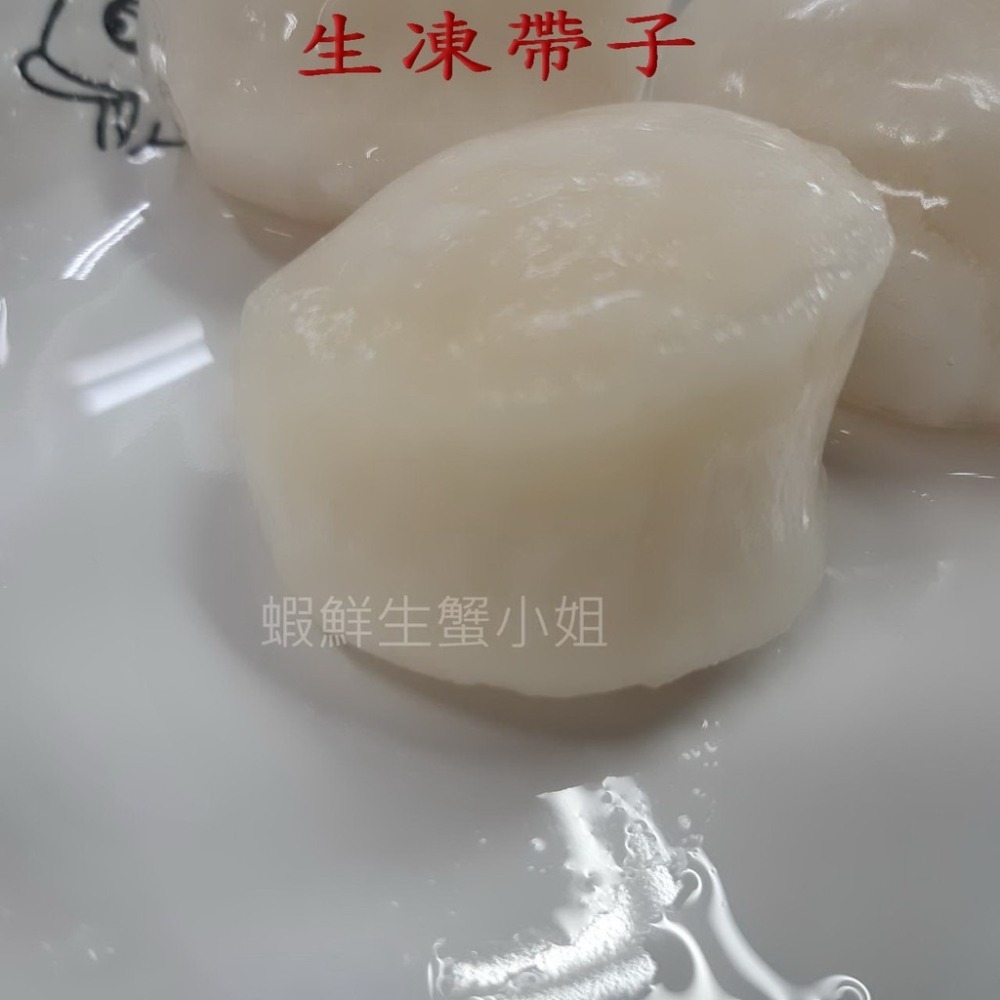 【蝦鮮生蟹小姐】生凍帶子(干貝)   10/20  2.27k/包 * 口感鮮嫩、味道鮮甜。 **每包1590元**-細節圖4