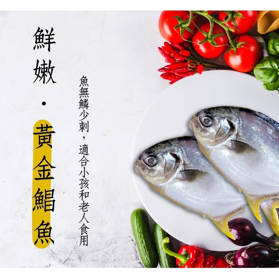 【蝦鮮生蟹小姐】黃金鯧魚(紅衫)  400-500/隻  * 肉質飽滿細緻刺又少 **每隻230元**-細節圖6