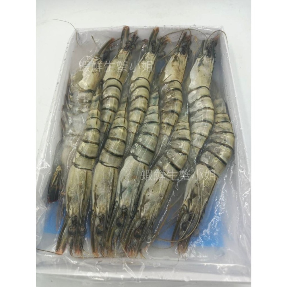 【蝦鮮生蟹小姐】草蝦10尾/盒  400克/盒 *蝦體緊實飽滿、肉質鮮嫩..媲美明蝦。**每盒230元**-細節圖3