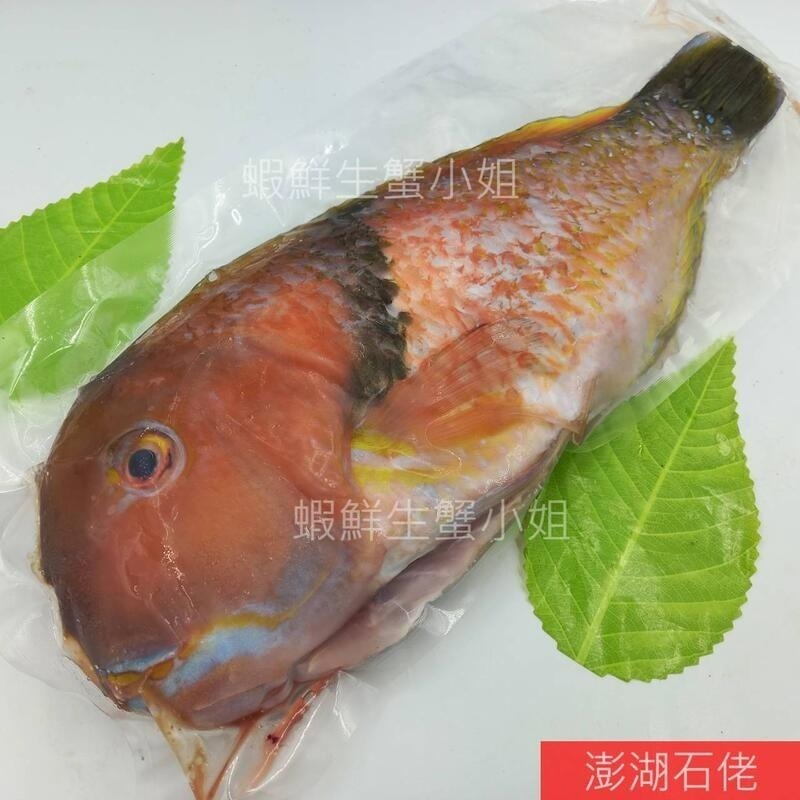 【蝦鮮生蟹小姐】澎湖石佬魚 *宴客的上等食材,肉質細緻！-細節圖2