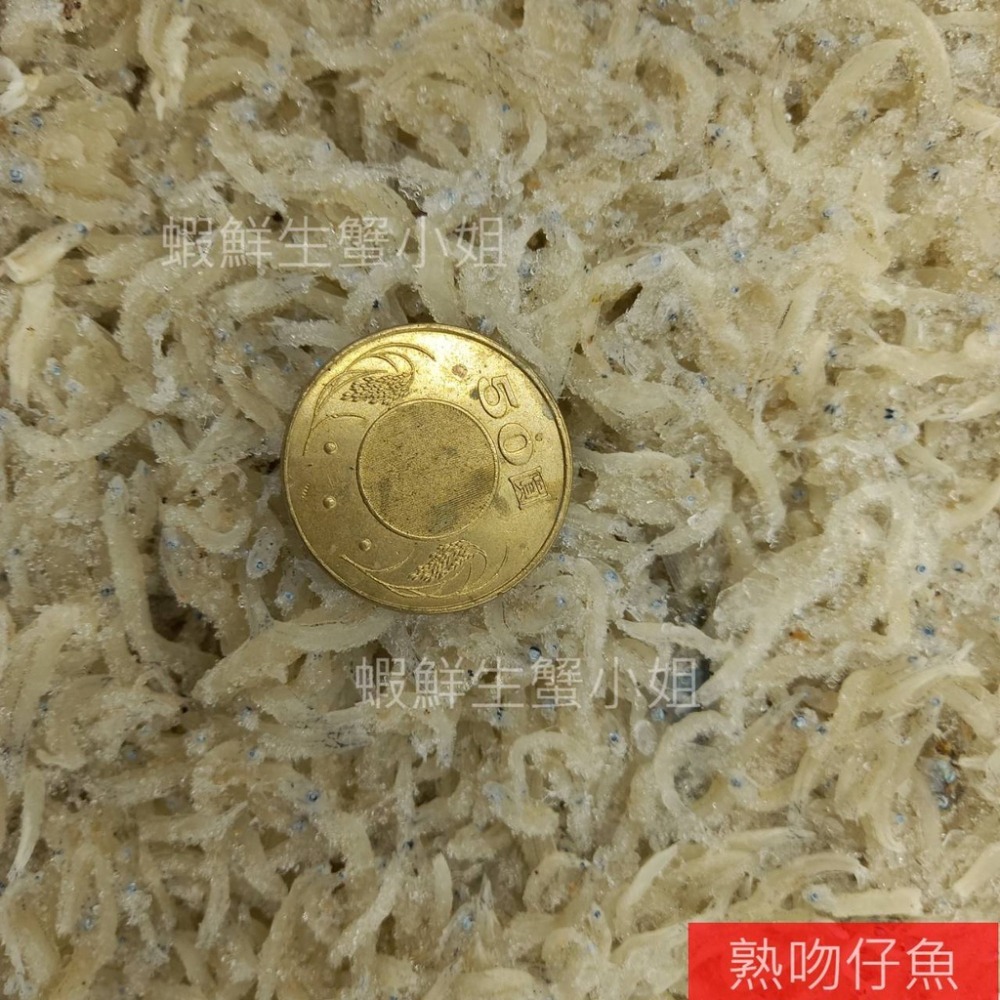 【蝦鮮生蟹小姐】熟凍吻仔魚(海)    2.5公斤裝/箱    *豐富的鈣質及蛋白質！ **每箱1150元**-細節圖2