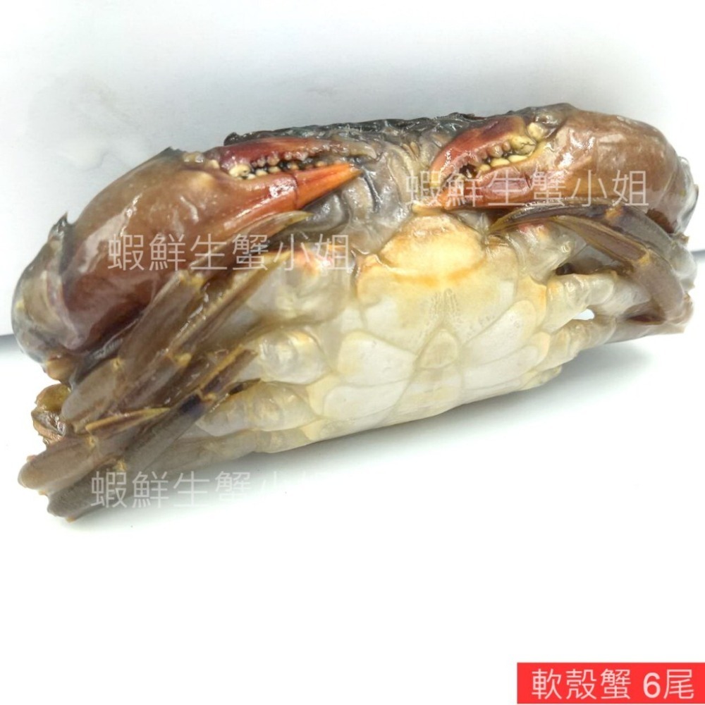 【蝦鮮生蟹小姐】軟殼蟹  6入裝  一盒600克  *免剝殼、高營養的螃蟹 **單盒390元**-細節圖5