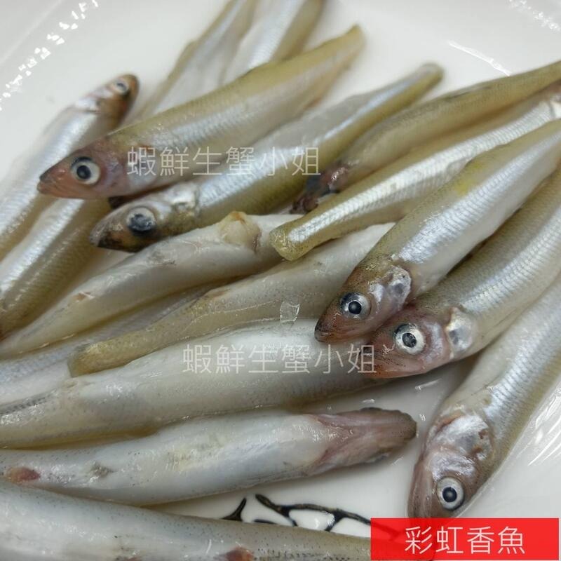【蝦鮮生蟹小姐】彩虹香魚  5公斤/箱   ★彩虹香魚營養豐富，含鈣質 **每箱1100元**-細節圖3