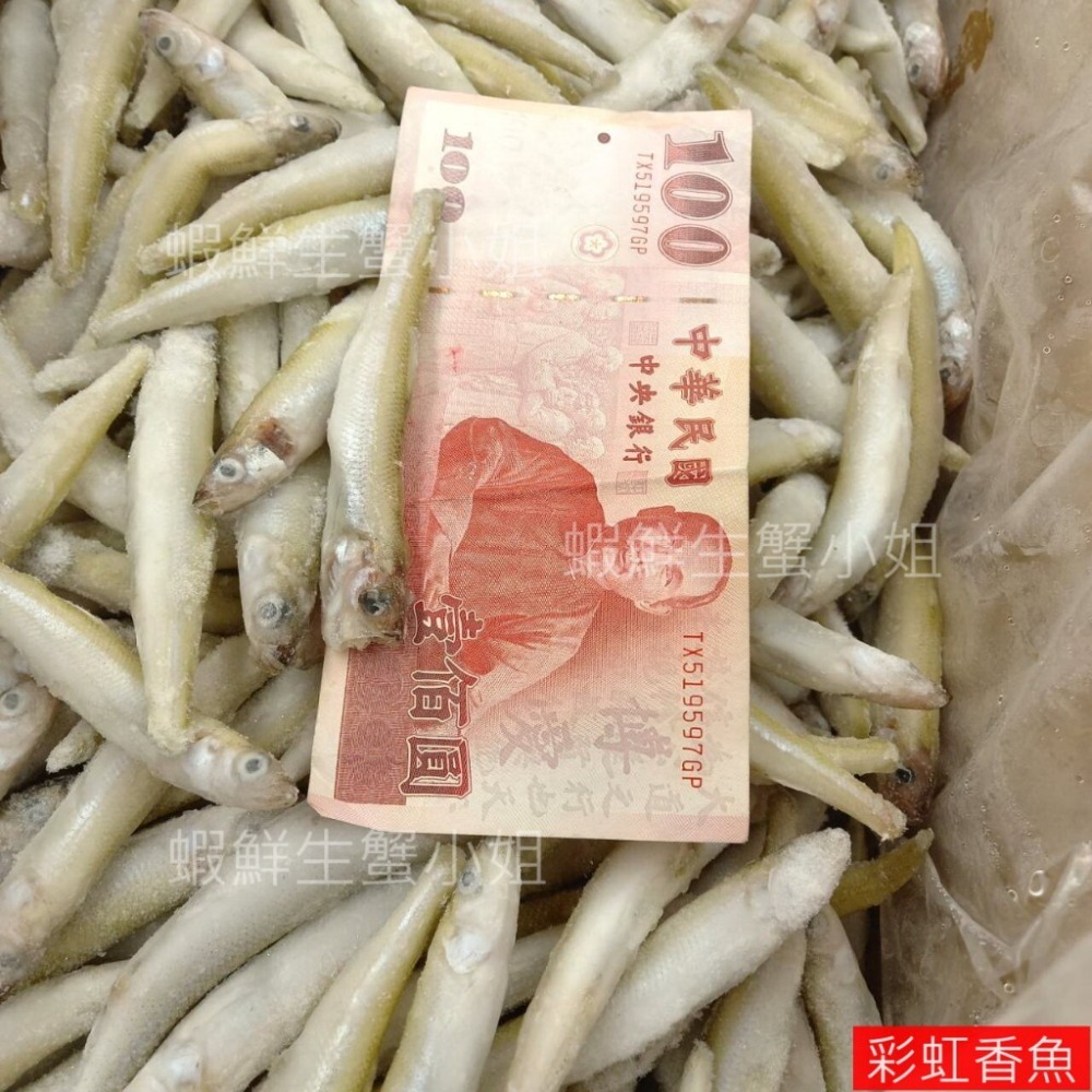 【蝦鮮生蟹小姐】彩虹香魚  5公斤/箱   ★彩虹香魚營養豐富，含鈣質 **每箱1100元**-細節圖5