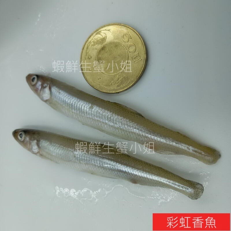 【蝦鮮生蟹小姐】彩虹香魚  5公斤/箱   ★彩虹香魚營養豐富，含鈣質 **每箱1100元**-細節圖6
