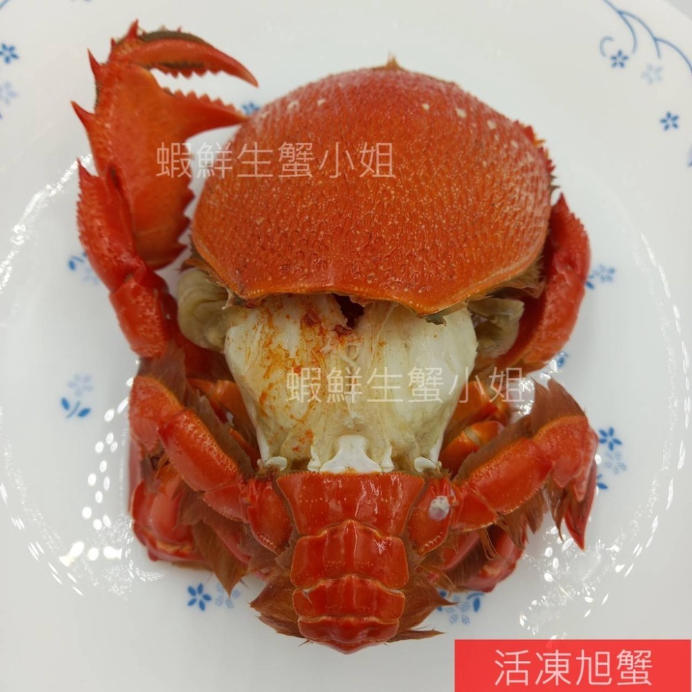 【蝦鮮生蟹小姐】旭蟹(公)  150-200g  5隻/包 * 殼薄肉多,滋味鮮甜 **單包440元**-細節圖3