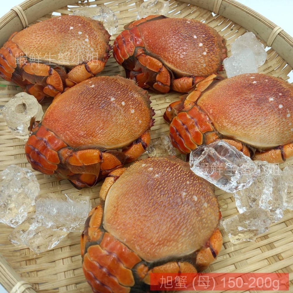 【蝦鮮生蟹小姐】旭蟹(公)  150-200g  5隻/包 * 殼薄肉多,滋味鮮甜 **單包440元**-細節圖5