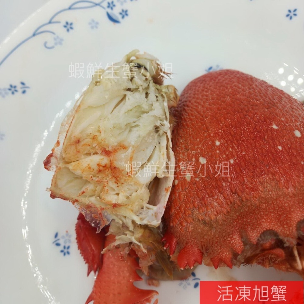 【蝦鮮生蟹小姐】旭蟹(公)  150-200g  5隻/包 * 殼薄肉多,滋味鮮甜 **單包440元**-細節圖6