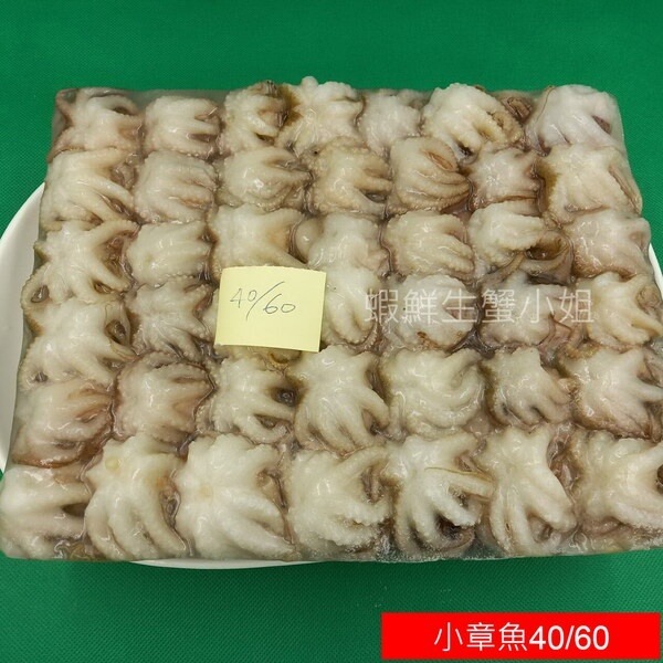 【蝦鮮生蟹小姐】小章魚 40/60  1000克/包  * 小章魚肉質細嫩，鮮美脆彈~  **每包370元**-細節圖2