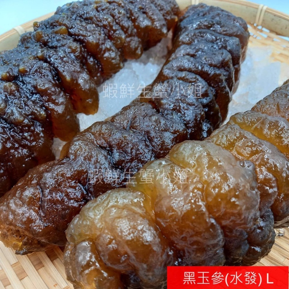 【蝦鮮生蟹小姐】黑玉參 -預購5斤裝 * 過濾水發泡，口感軟嫩Q彈 **每包2400元**-細節圖2