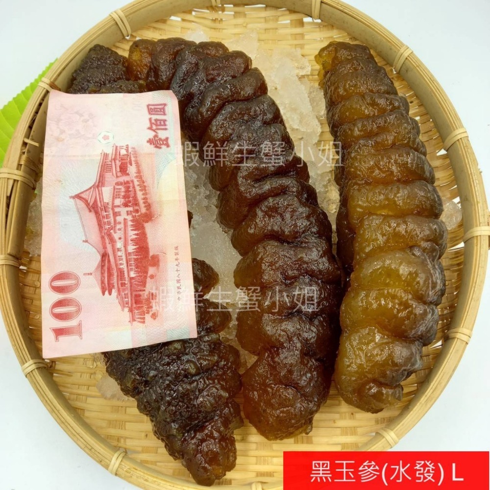 【蝦鮮生蟹小姐】黑玉參 -預購5斤裝 * 過濾水發泡，口感軟嫩Q彈 **每包2400元**-細節圖4