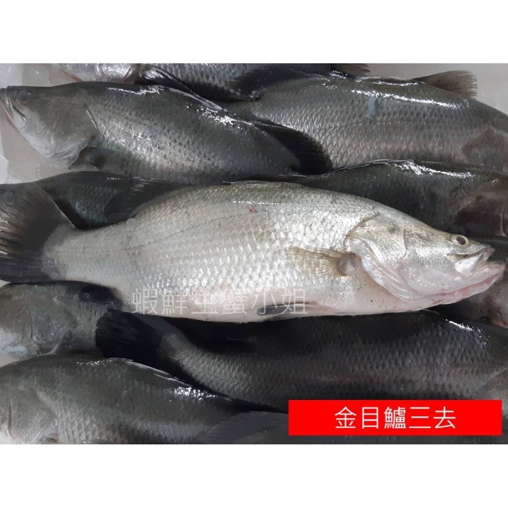 【蝦鮮生蟹小姐】金目鱸魚  三去  600-700g/隻  *新鮮鱸魚  肉細細緻美味   **每隻150元**-細節圖3
