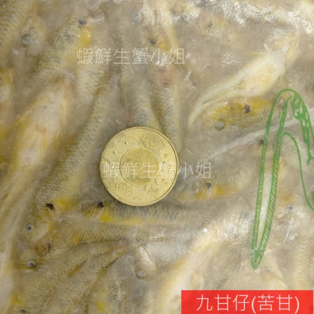 【蝦鮮生蟹小姐】九甘仔(苦甘) 500克/包♟酥炸椒鹽首選推薦! **單包200元**-細節圖2