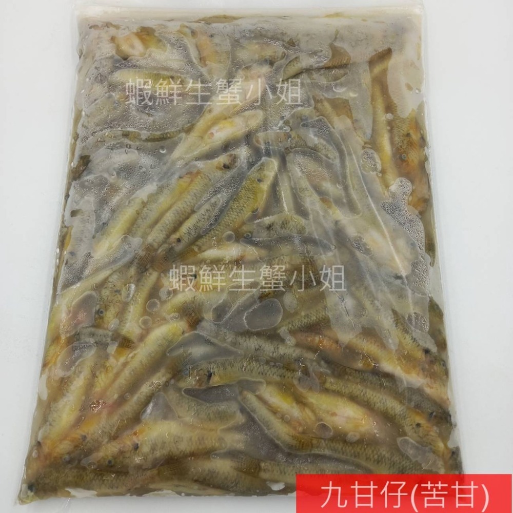 【蝦鮮生蟹小姐】九甘仔(苦甘) 500克/包♟酥炸椒鹽首選推薦! **單包200元**-細節圖4