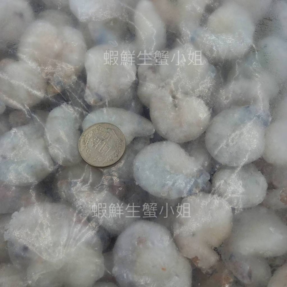 【蝦鮮生蟹小姐】草蝦仁 51/60  3000克/包  *口感Q彈、脆口草蝦仁！ **每包960元**-細節圖3