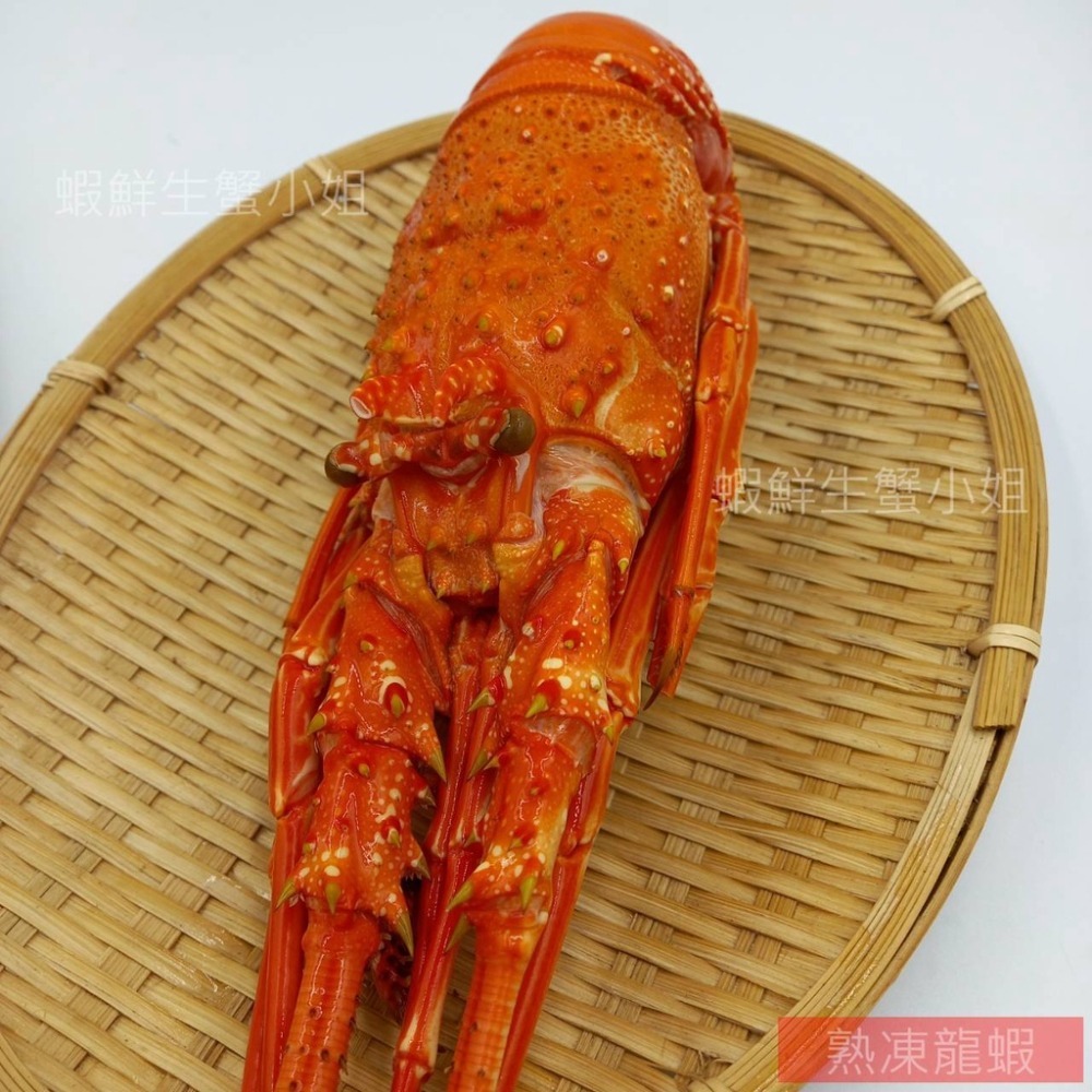 【蝦鮮生蟹小姐】熟凍龍蝦 250-300g/隻 ✡ 肉質Q嫩彈牙，鮮美多汁，口感甘甜，滿足你挑剔的味蕾 ✡-細節圖2