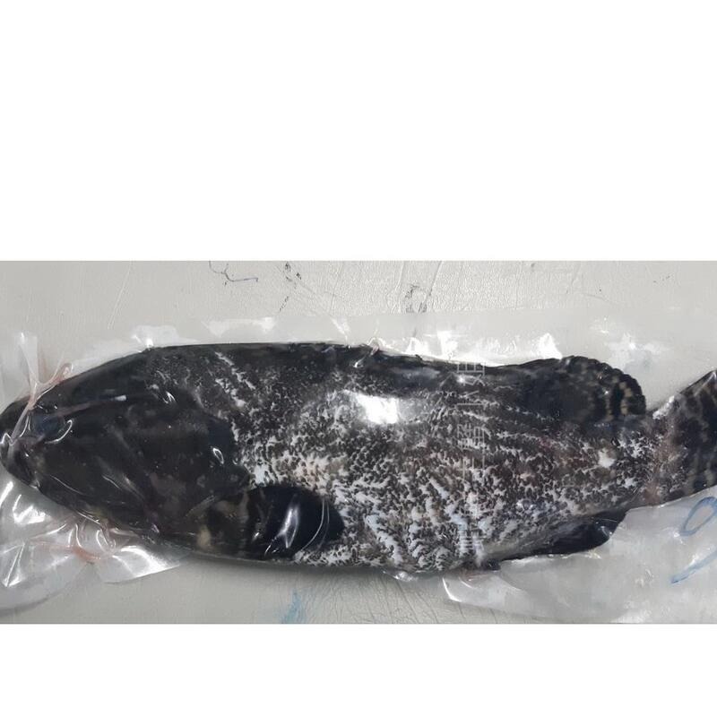 【蝦鮮生蟹小姐】龍虎石斑 殺清 多重規格 ▶肉質鮮嫩又不失彈性-細節圖5