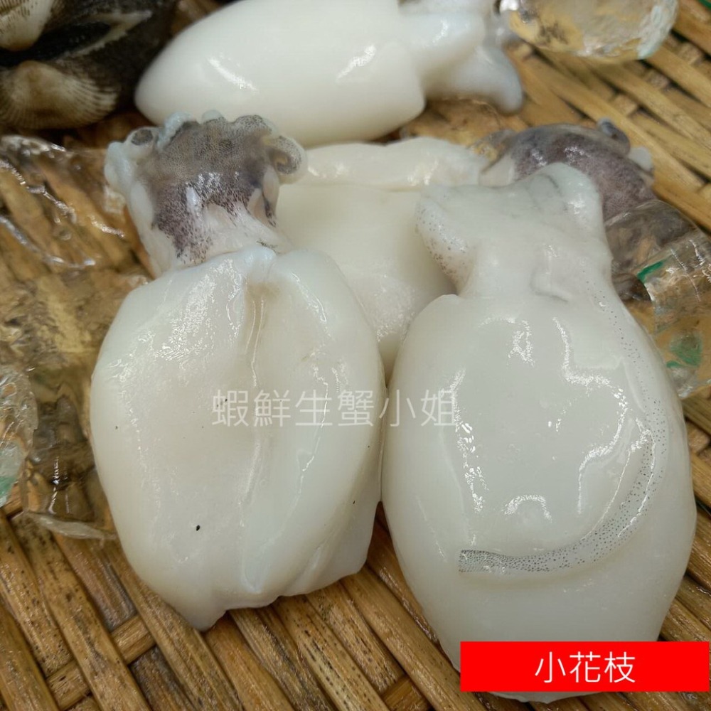 【蝦鮮生蟹小姐】小花枝 40/60  1000g/包  *Q彈口感，低卡又健康！ **每包240元**-細節圖2