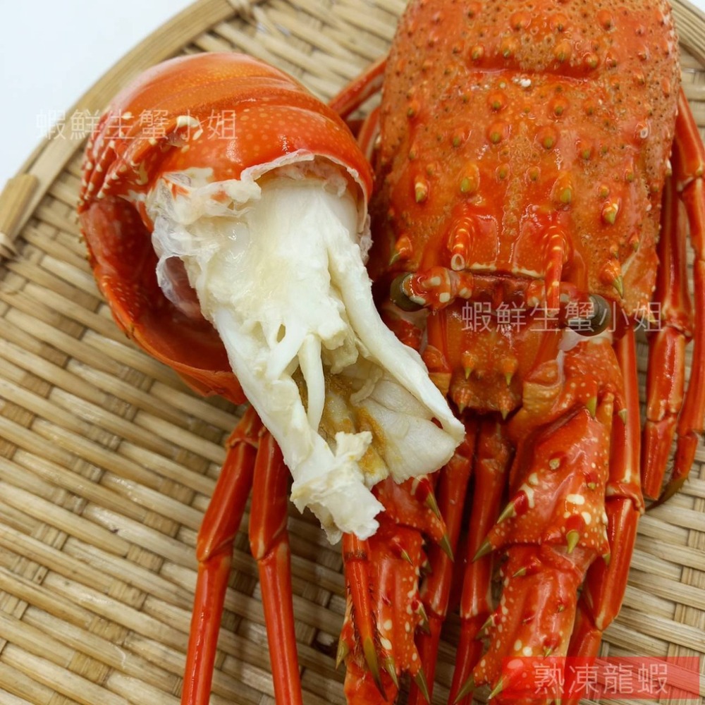 【蝦鮮生蟹小姐】熟凍大龍蝦 400-450g/隻 *頂級熟龍蝦肉質紮實、鮮甜！**單隻530元**-細節圖4