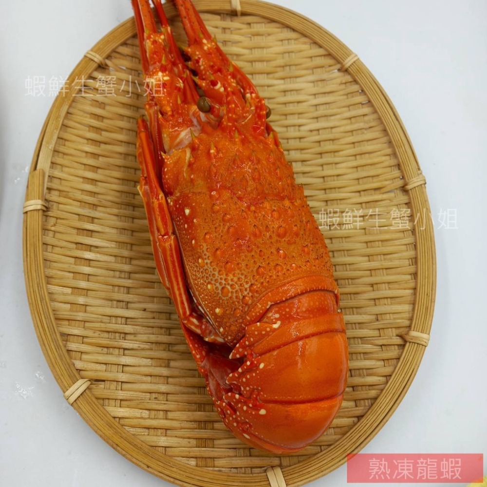【蝦鮮生蟹小姐】熟凍龍蝦 200-250g/隻 ✡ 肉質Q嫩彈牙，鮮美多汁，滿足你挑剔的味蕾 **每隻350元**-細節圖2