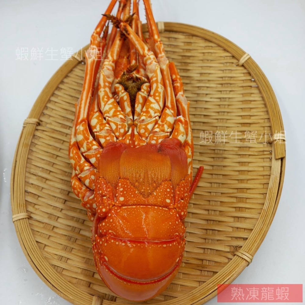 【蝦鮮生蟹小姐】熟凍龍蝦 200-250g/隻 ✡ 肉質Q嫩彈牙，鮮美多汁，滿足你挑剔的味蕾 **每隻350元**-細節圖4