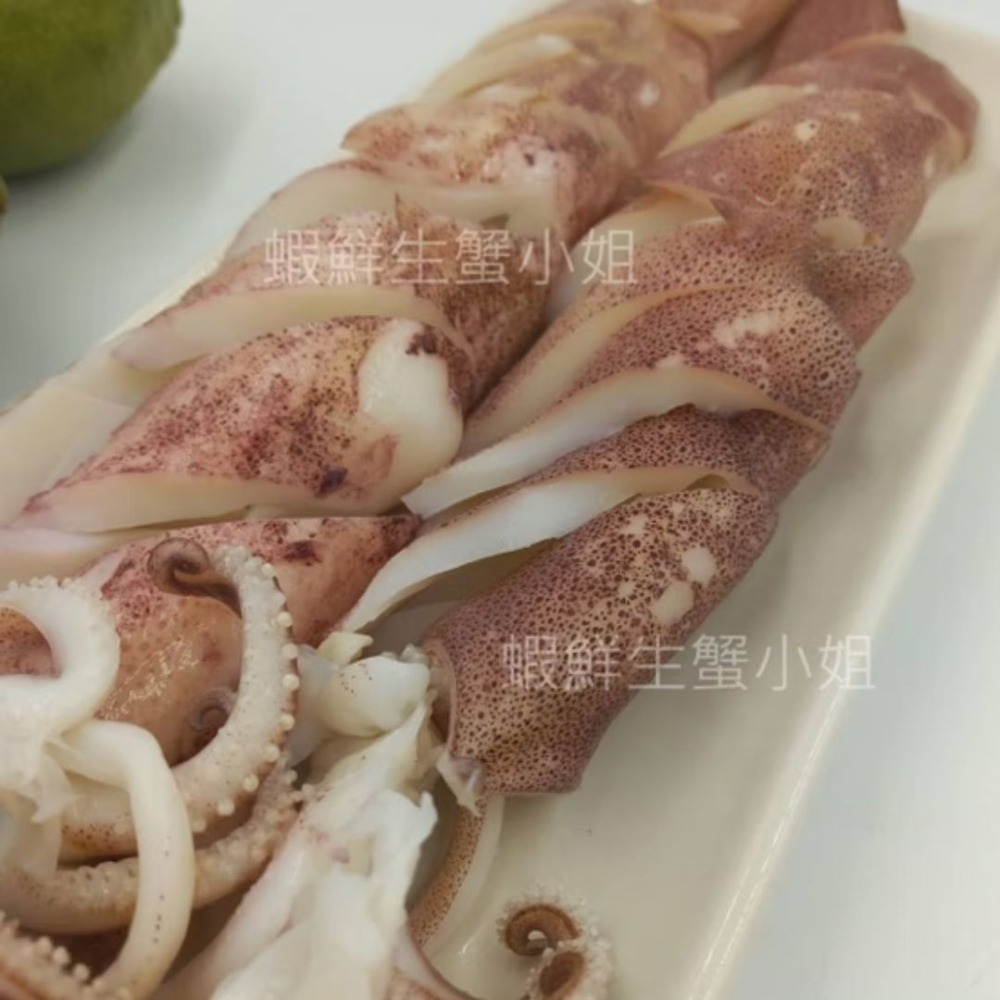 【蝦鮮生蟹小姐】澎湖冰卷(熟中卷) *沾點醬油、哇沙米、美乃滋風味更棒!-細節圖2