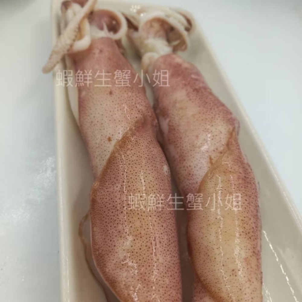 【蝦鮮生蟹小姐】澎湖冰卷(熟中卷) *沾點醬油、哇沙米、美乃滋風味更棒!-細節圖3