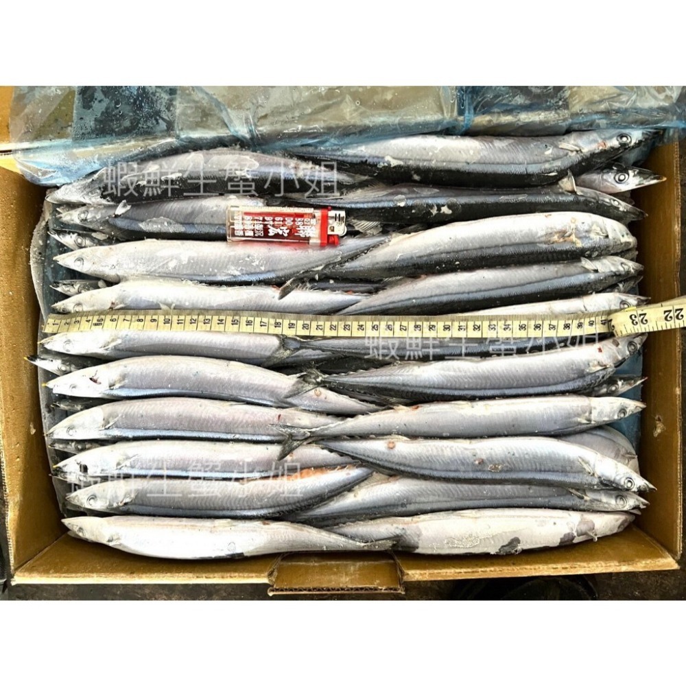 【蝦鮮生蟹小姐】秋刀魚 2號  10K/箱 🚩有豐富的天然油脂，烹調時不需要再用油。**整箱1650元**-細節圖2