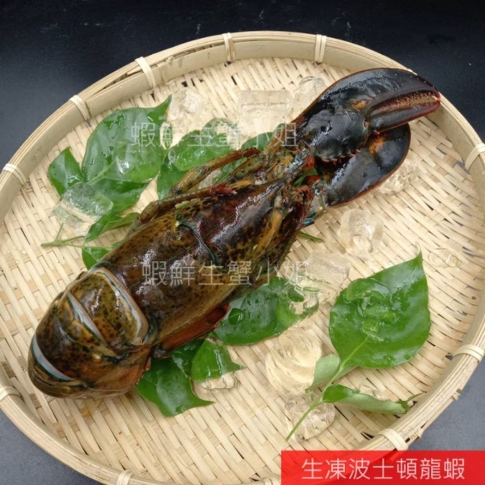 【蝦鮮生蟹小姐】高壓生凍波士頓龍蝦 肉質飽滿-細節圖4