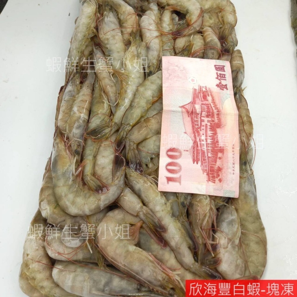 【蝦鮮生蟹小姐】降價~活凍白蝦-中   3台斤業務包   *東部純淨海域養殖,新鮮捕撈！ @每盒570元*-細節圖3