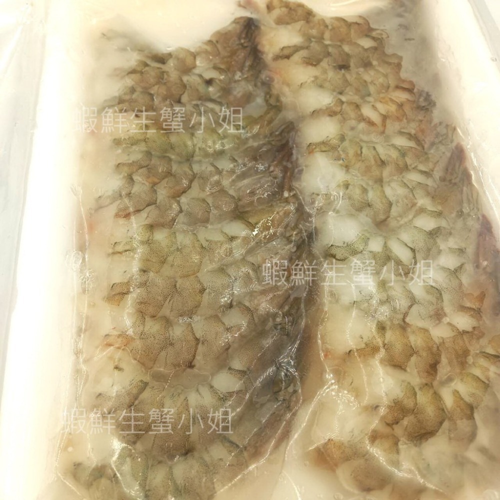 【蝦鮮生蟹小姐】鳳尾蝦(帶尾蝦仁)  300克/盤  約22隻  * 去殼帶尾白蝦,無彭發   **每盒270元**-細節圖3